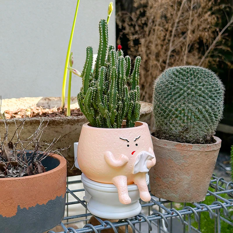 Witziger Toiletten-Blumentopf – Originelle Sukkulenten-Deko für Büro, Wohnzimmer & Geschenkideen