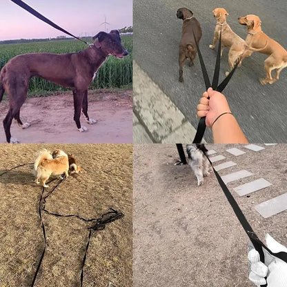 Nylon-Trainingsleine für Hunde – 10 m / 15 m / 20 m / 30 m / 50 m Hundeleine für kleine & große Hunde, Welpen, Outdoor-Spaziergänge