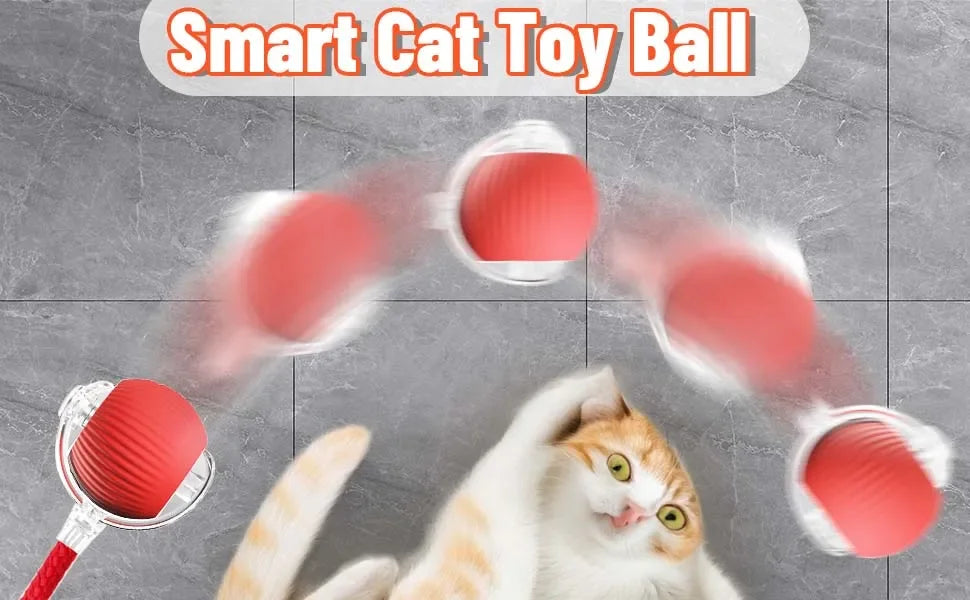 🐾 Intelligenter Interaktiver Spielball für Hunde & Katzen – Automatisch rollend mit Schwanz, wiederaufladbares elektrisches Haustierspielzeug mit Bewegungs- & Maus-Simulation