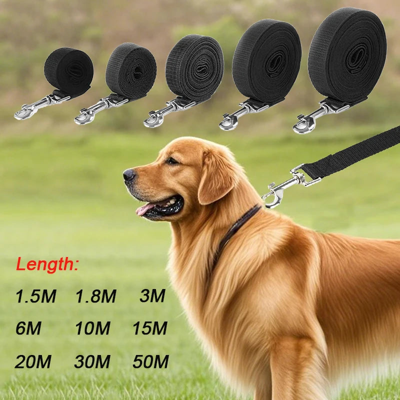 Nylon-Trainingsleine für Hunde – 10 m / 15 m / 20 m / 30 m / 50 m Hundeleine für kleine & große Hunde, Welpen, Outdoor-Spaziergänge