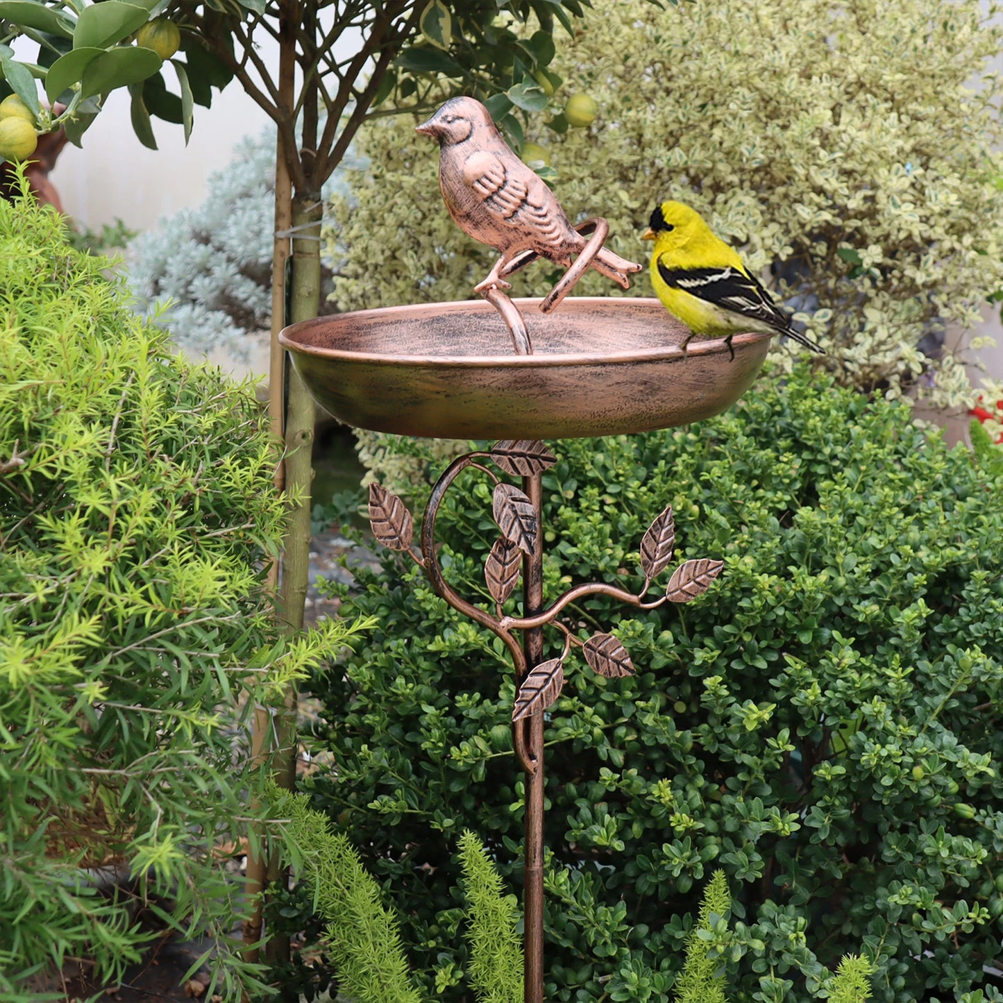 Vintage Vogeltränke Garten – Stand Vogelbad aus Eisen für Outdoor Dekoration
