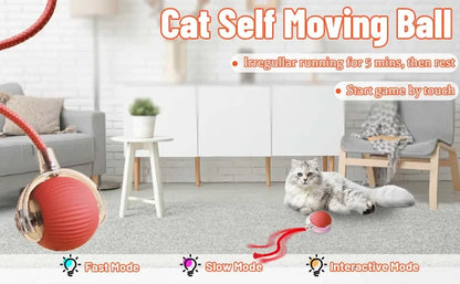🐾 Intelligenter Interaktiver Spielball für Hunde & Katzen – Automatisch rollend mit Schwanz, wiederaufladbares elektrisches Haustierspielzeug mit Bewegungs- & Maus-Simulation