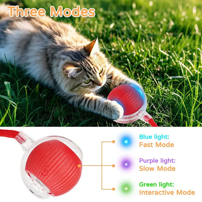 🐾 Intelligenter Interaktiver Spielball für Hunde & Katzen – Automatisch rollend mit Schwanz, wiederaufladbares elektrisches Haustierspielzeug mit Bewegungs- & Maus-Simulation