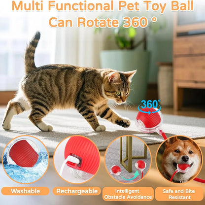 🐾 Intelligenter Interaktiver Spielball für Hunde & Katzen – Automatisch rollend mit Schwanz, wiederaufladbares elektrisches Haustierspielzeug mit Bewegungs- & Maus-Simulation