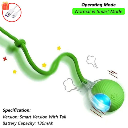 🐾 Intelligenter Interaktiver Spielball für Hunde & Katzen – Automatisch rollend mit Schwanz, wiederaufladbares elektrisches Haustierspielzeug mit Bewegungs- & Maus-Simulation