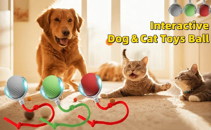 Automatischer Katzen-Spielball mit Bewegungssensor – Interaktives Katzenspielzeug mit Plüschschwanz (wiederaufladbar)